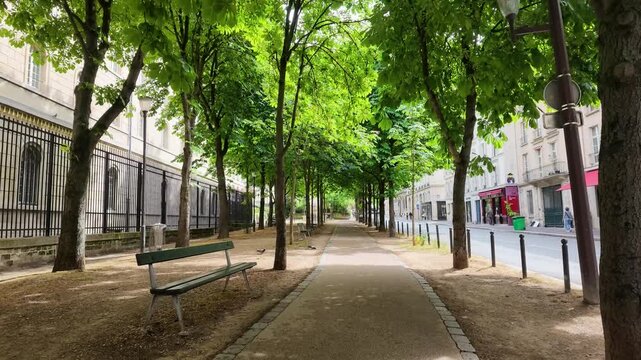 Tree Lined Pedestrian Path in a Sunny Parisian City Park
