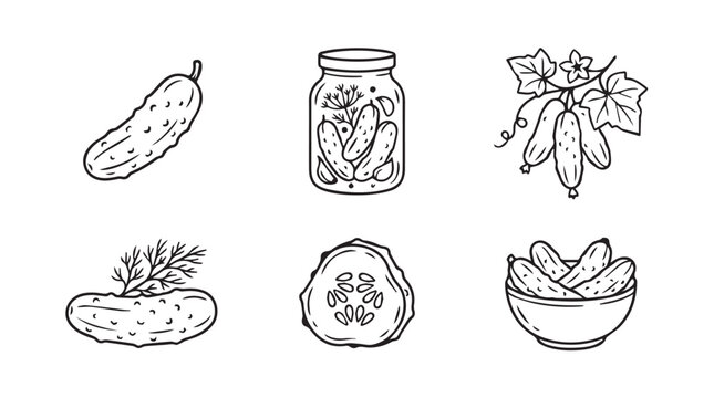 Assorted cucumber vegetables and pickles in bowl vector illustration with cucumber vegetable ingredient culinary appetizer nutrition illustration collection monochrome isolated fermented