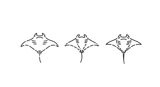 Illustrated trio of stylized manta ray line drawings.