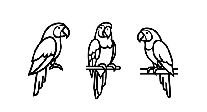 Three Illustrated Parrots Perched on Wooden Sticks.