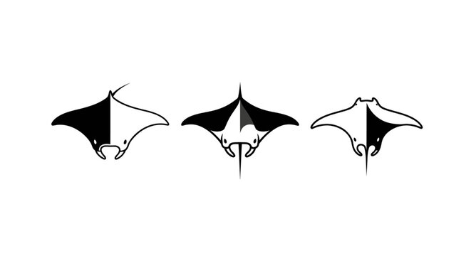 Three stylized black and white manta ray silhouettes.