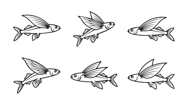 Hand drawn flying fish collection featuring different action poses wildlife illustration collection underwater graphite monochrome isolated creature wingspan movement