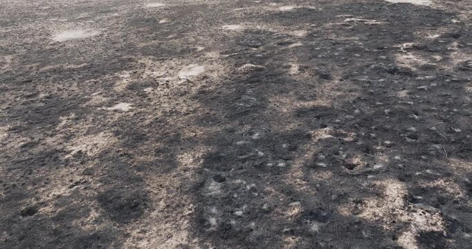 Charred soil displays uneven blackened textures