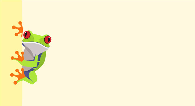 Red Eyed Tree Frog Peeking from the Side with Copy Space