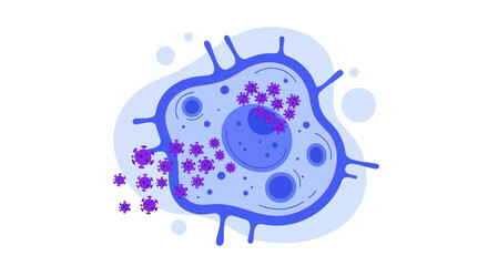 Fototapeta premium Virus infecting a cell, microscopic view, scientific illustration