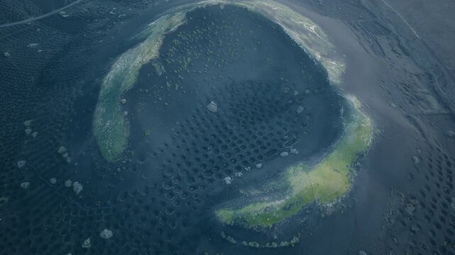 La Geria, Lanzarote, Spain, aerial drone shot focusing on a crater like volcanic vineyard formation surrounded by vines in black ash terrain