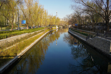 Fototapeta premium Serene river surrounded by trees in an urban park area
