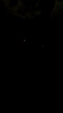 Glowworms hanging in sticky strings from Waitomo Ruakuri cave roof. Vertical