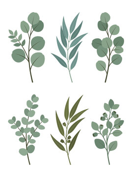 Eucalyptus leaves collection featuring various green botanical branches isolated on a clean white background for design