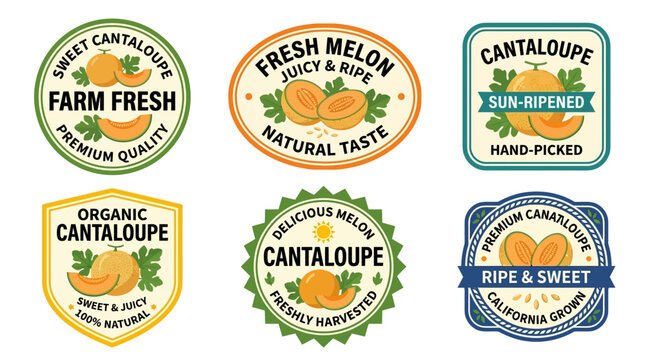 Cantaloupe melon labels collection featuring organic fruit designs with vintage typography and vibrant orange colors