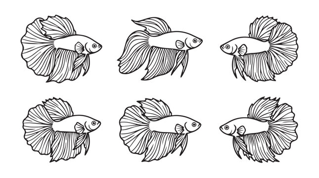 Betta fish vector illustration line art collection with fighting aquarium tropical wildlife illustration underwater collection ichthyology creature swimming decorative artistic isolated