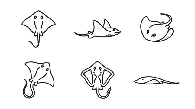 Stingray fish vector line art collection with stingray wildlife underwater illustration ichthyology collection creature swimming decorative artistic isolated