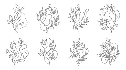 Fototapeta premium Minimalist Floral Line Art Collection - Botanical Abstract Vector Graphics