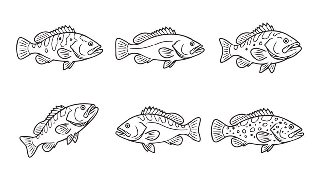 Hand drawn sketch collection of various grouper fish in different poses with underwater wildlife illustration monochrome collection swimming predator environment creature stylized