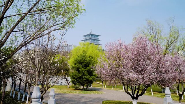Spring at Chang'an Pagoda