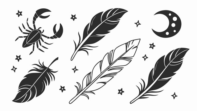 Vector illustration of zodiac sign scorpion feathers and moon crescent with stars doodle set, scorpion