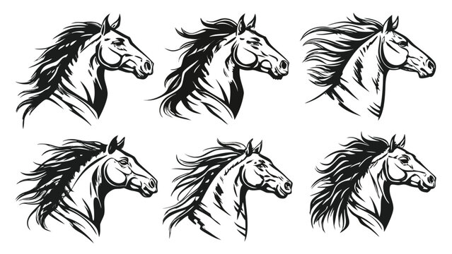 Vector illustration of detailed horse head profiles set with strength portrait stallion thoroughbred