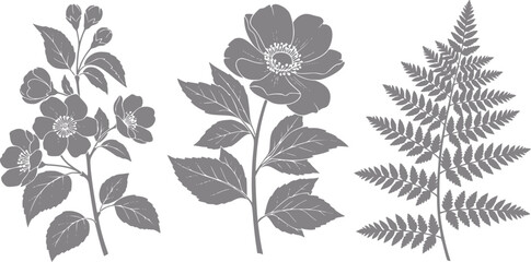Fototapeta premium Floral and fern silhouettes in grey tones on white background