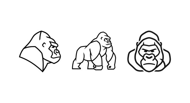 Illustrated Gorilla Heads and Full Body Line Art Collection.