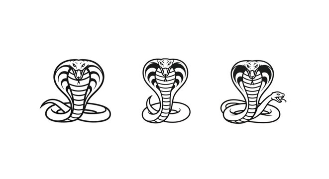 Three Intricate Cobra Snake Illustration Designs in Black Ink.