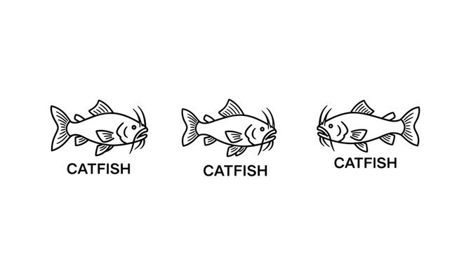 Three black and white catfish illustration set design.