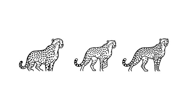 Illustrated cheetahs showing different walking poses sequentially.