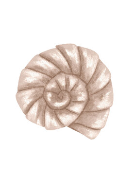 Neutral Beige Spiral Shell Art