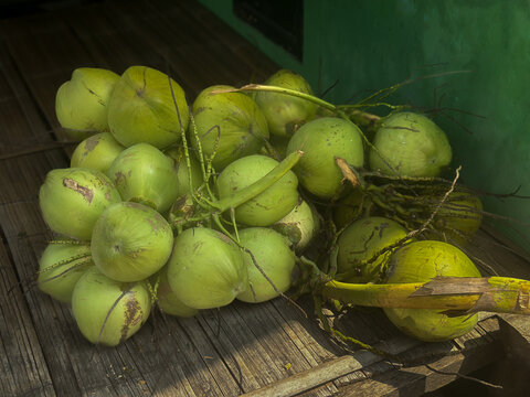 A bunch of fresh, young green coconuts freshly harvested and resting on a rustic bamboo and wooden surface.