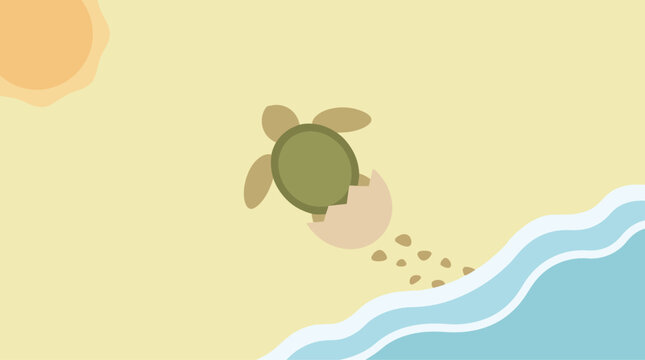 A tiny marine turtle hatches on World Oceans Day, illustrating the critical need for global conservation efforts to protect our precious ocean ecosystems and marine life