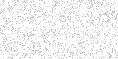 Fototapeta premium Minimalist grey topographic contour lines pattern on white background for clean modern interface and digital design aesthetics.