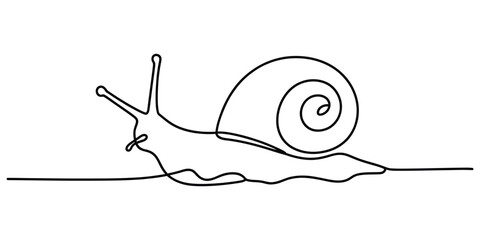Continuous line drawing of a snail © Das