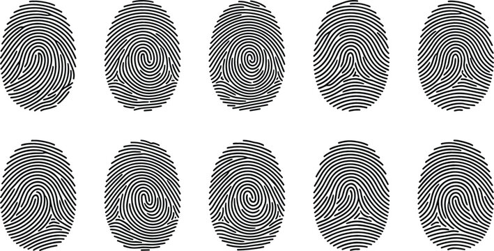 Black fingerprint scan patterns set vector illustration featuring unique thumbprint loop whorl and arch identification lines isolated on white background.