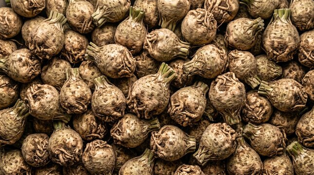 Fresh celeriac root vegetables arranged in a dense pile creating a rustic textured background suitable for culinary themes and healthy organic food concepts