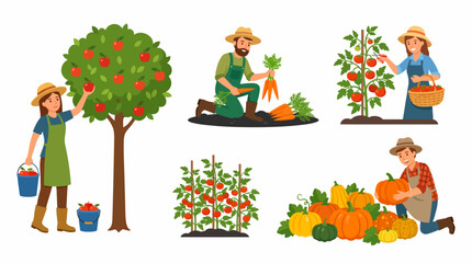 Fototapeta premium Various farmers and gardeners harvesting fresh fruits and vegetables like apples, carrots, tomatoes, and pumpkins from their crops.
