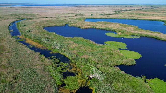 High angle panoramic flyover of the Danube Delta UNESCO biosphere reserve in Romania. Scenic wild landscape with colorful reed vegetation, natural lakes, and winding water channels.