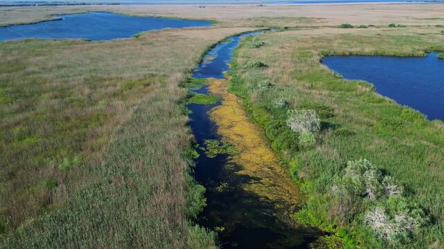 High angle panoramic flyover of the Danube Delta UNESCO biosphere reserve in Romania. Scenic wild landscape with colorful reed vegetation, natural lakes, and winding water channels.