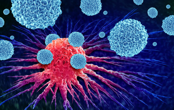 Natural Killer T Cells as immune cells that combine properties of T cells and NK cell to help detect and destroy abnormal or cancerous cells while shaping broader immune responses.