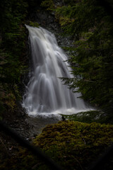 Obraz premium waterfall in the woods