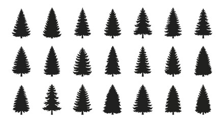 Collection of black pine tree silhouettes on white background for design and decoration © Asim