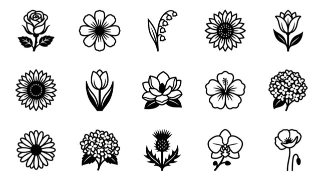 Collection of Various Flower Illustrations.