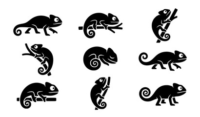 Set of Black Chameleon Silhouette Icons in Different Poses Vector Wildlife Illustration on White Background © Md Humaun