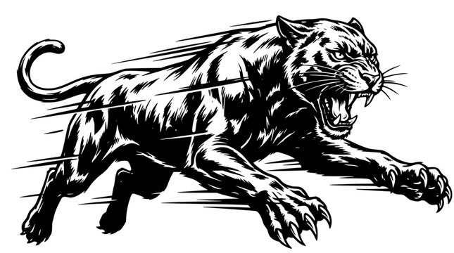 Black panther running with open mouth and sharp claws