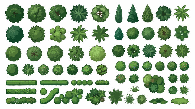 Top view landscape trees and bushes vector set, green garden plants for architectural site plans, aerial forest vegetation icons for map design
