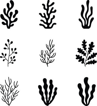 Collection of minimalist black seaweed and underwater plant silhouettes including coral and algae icons isolated on white background