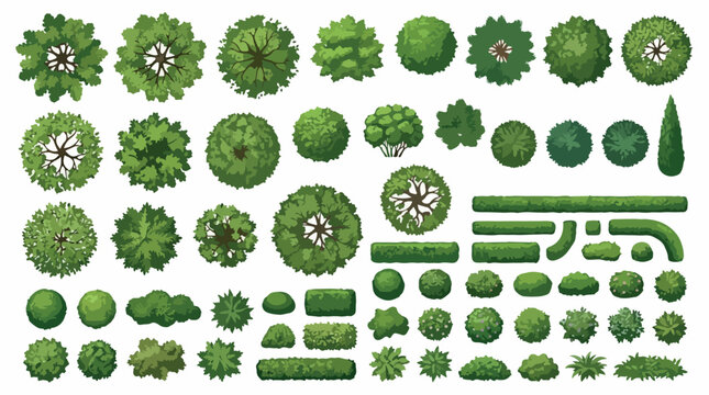 Top view landscape trees and garden bushes, overhead green plant collection for architectural site plans, 60 vector vegetation elements
