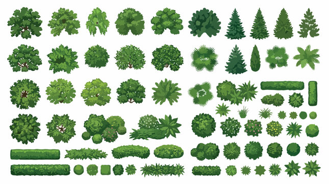 Top view landscape trees and bushes vector set, green garden plants for architectural site plan, aerial forest vegetation icons for map design