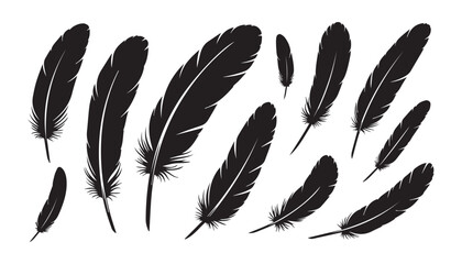 black and white silhouette set of feather very high quality vector illustration. © dinesh