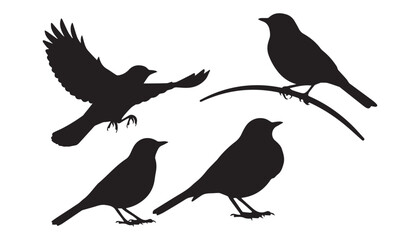 Obraz premium black and white silhouette set of Eurasian bullfinch very high quality vector illustration.