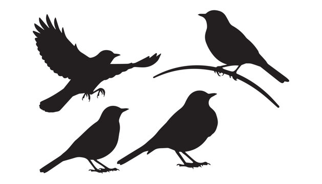 black and white silhouette set of Eurasian bullfinch very high quality vector illustration.