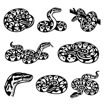 back and white vector silhouette set of Banana Ball Python
